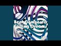 Falling Dreams (Original Mix)