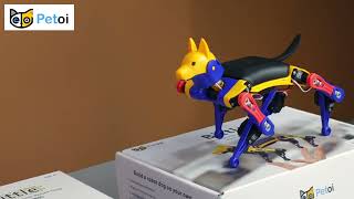 Build Your Own Quadruped Robot Dog | Bittle Robot Dog Takes The Challenge Of Walking Over A Gap