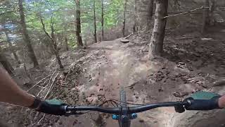 Bilantis - Sticky Forest - Stumpjumper 15 Expert