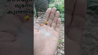 നിങ്ങൾക്ക് അപ്പൂപ്പൻ താടിയെ പേടിയുണ്ടായിരുന്നോ 😄🤪#shortsfeed #shorts