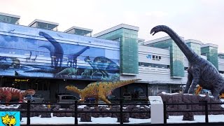 北陸新幹線開業、JR福井駅前に恐竜出現　【The Dinosauur appeared in JR Fukui station front.】