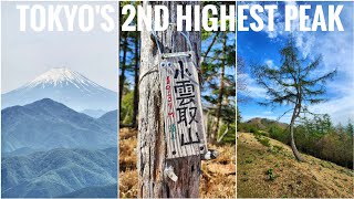 Tokyo's 2nd tallest mountain - Mt. Kokumotori hike | 東京都の二番目に高い山「小雲取山」を山登り