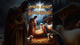 Dhikkuthochaka vo yesayyaa pasulapaakalo jenminchenayyaa #christian #jesus #catholic #ytshorts