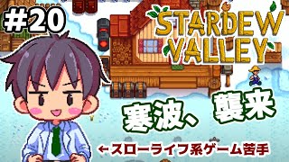 【StardewValley】#20 スローライフ系苦手所長のスターデューバレー