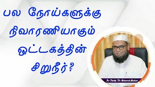 பல நோய்களுக்கு நிவாரணியாகும் ஒட்டகத்தின் சிறுநீர்┇Mubarack Madani┇Online Dawah Media┇Subscribe┇Share