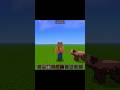 Minecraft #foryou #shorts #papapig #funny #minecraft #pigeon #shortvideo