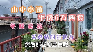 山中小镇，平房6万两套，冬暖夏凉，采蘑菇的好地方