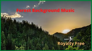 🔴[No Copyright] Relaxing Music, Beautiful, Soothing, Nature, Spa,Background Music,Gym  by Silkroute