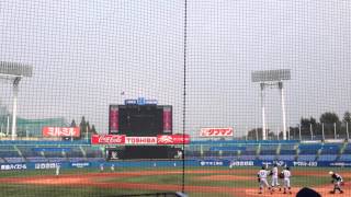 東海大菅生高校 シートノック 【決勝】 2014年 平成26年 秋季東京都高等学校野球大会