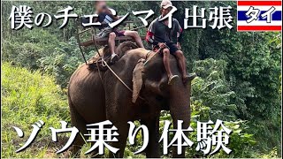 【タイ】チェンマイでゾウ乗り体験！タイのゾウ使いは、ながらスマホでゾウ運転、首長族「カレン族」の村訪問