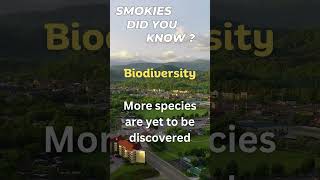 Smoky Mountain Biodiversity - Did you know?