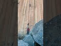 my first trad whipper crazy climbing fall