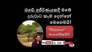 Feeding child with loose stools - ආහාර අජීර්ණයකදී දරුවාට මෙලෙස ආහාර දෙන්න  _Dr.Dil _කෑම Doctor 👍🔔