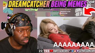 thatssokelvii Reacts to introducing dreamcatcher being absolute memes 🥴 **theyre literally crazy!!**