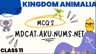 || MOST IMPORTANT MCQS PART 2 || DIVERSITY AMONG ANIMALS  || CLASS 11 STB || AKU, NUMS, NET, MDCAT |