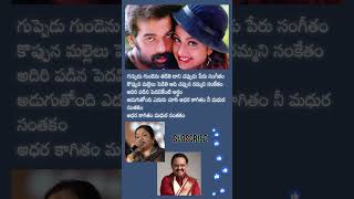 గుప్పెడు గుండెను తడితె #chitra #balasubramanyam  #Guppedu#Gundenu#Telugu#hits#Songs#MelodySongs