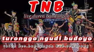 HEBOH ‼️ TNB turonggo ngudi budoyo talun live duren bandungan full surup