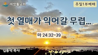 첫 열매가 익어갈 무렵.../주일1부예배/25.01.12