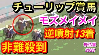 【桜花賞2023】モズメイメイ(チューリップ賞馬)が逃げて逆噴射し13着に惨敗…ファンは納得いかないようだ