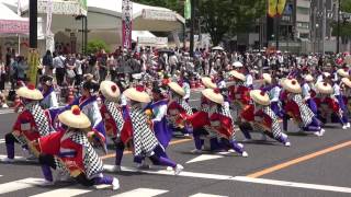 備後新選組　２０１７　広島フラワーフェスティバル　パレード　１