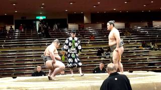 Tochihayate (2-4) - Amanoshima (3-3) , Sumo : Hatsubasho '14