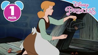 Disney Princess - Cenerentola - I Migliori momenti 1