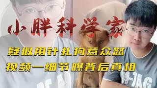 百万宠物狗网红翻车？疑似用针扎狗惹众怒，视频一细节曝背后真相