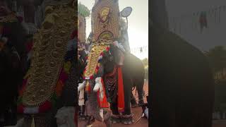 Chaithram  Achu Latest 2025 at SERISERRIKAVU VELA 2025 #elephant #chaithramachu