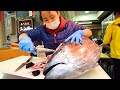 Japan Street Food - OSAKA'S BEST STREET FOOD GUIDE! CRAZY Tuna Cutting + Japanese Sushi!