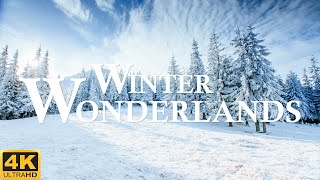 Winter Wonderlands ❄️4k Video Of Beautiful Winter Scenery With Beautiful Piano Music |Winter Scenery