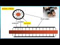 electrical concepts 10 ஏன் conductor அல்லது wire வட்ட வடிவமாக உள்ளது