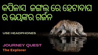 ଅନ୍ଧାର ରାତିରେ କପିଳାସ ଜଙ୍ଗଲରେ ହେଟାବାଘ ର ଭୟଙ୍କର ଗର୍ଜନ।