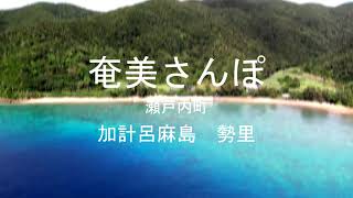 奄美さんぽ　加計呂麻島　勢里（せり）