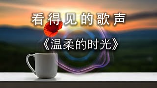 治愈心灵的歌曲《温柔的时光》| 最佳听歌方式——看得见的歌声|声波可视化|荟心动听