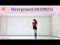 Overgrown(WDM25) Linedance Intermediate