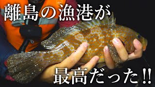 日本海の離島でいきなり憧れのキジハタが釣れた！【釣って食べる2泊3日の釣りキャンプ】