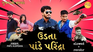 અમને ખબર છે તમે સો કોના પોપટ પાળેલા | Pintu Algotar | Udta Pade Parinda | 4K Video Song 2024