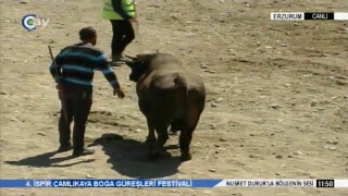 4. İSPİR ÇAMLIKAYA BOĞA GÜREŞLERİ FESTİVALİ - 07.04.2019