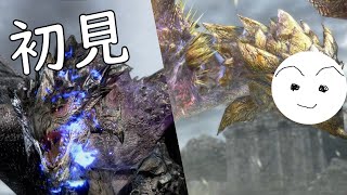 Gold Rathian \u0026 Silver Rathalos SnS First Attempt | MHRS PC