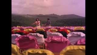 Paatti Sollai Thattathey - Vannathi poochi song