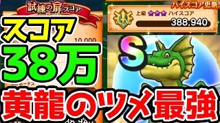 【ドラクエウォーク】試練の扉3週目上級スコア38万出す方法！バトルレックス【ドラゴンクエストウォーク】