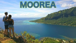 La charmante 💕 ! | MOOREA 🇵🇫 [Vlog#94]