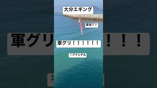 大分エギング　大分　エギング　軍艦グリーン　軍グリちゃん　この場所は、エギの塊を落とした場所。そのまま海にドボンはしなかったけどなぜかカラナビごとエギの塊が落ちて焦った場所。