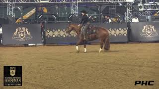 SARAH DAWSON SHINE SMARTER OWNED BY LINDA MARS THE AMERICAN PERFORMANCE HORSEMAN FENCE WORK 226.5