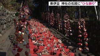 東伊豆町　神社の石段に圧巻ひな飾り登場（静岡県）