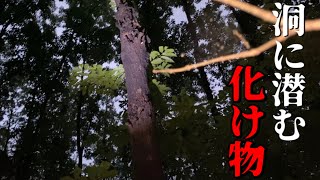 【クワガタ採集】衝撃の結末！！前回完敗した化け物クワガタにリベンジした結果...〜2021年7月上旬〜