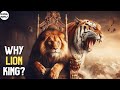 Tigers Are Powerful But Not King Why? | Tigers Vs Lions