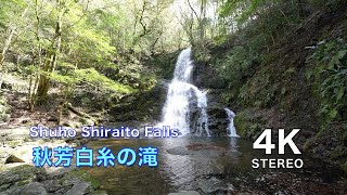 作業用BGV【4K】@7秋芳白糸の滝　Shuho Shiraito Falls