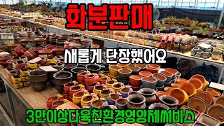 화분판매 가성비짱 010 4499 2456 5만이상무료배송 3만이상다육친환경영양제써비스 주문은 문자로주세요