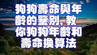 狗狗壽命與年齡的鑒別,教你狗狗年齡和壽命換算法